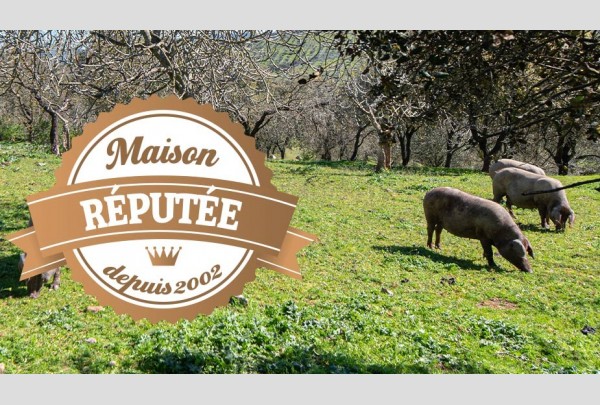 Pourquoi le jambon Pata Negra s’appelle-t-il “Pata Negra” ?