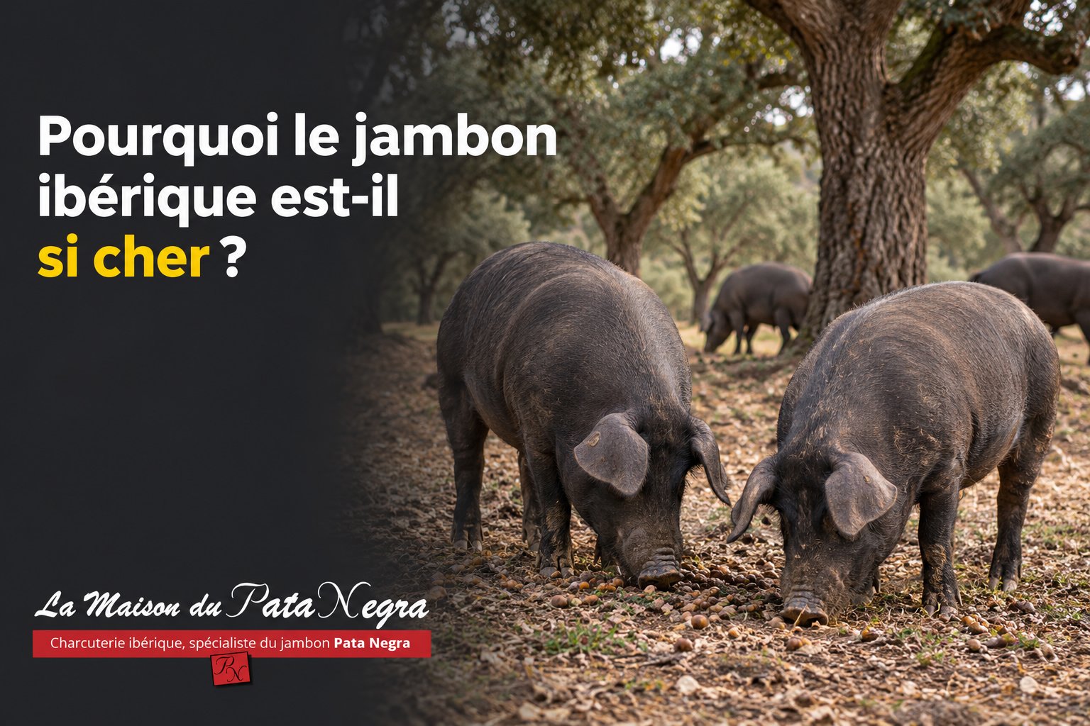 Pourquoi le jambon ibérique est-il si cher ?
